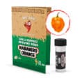 hot-chip-seeds-habanero-orange-1