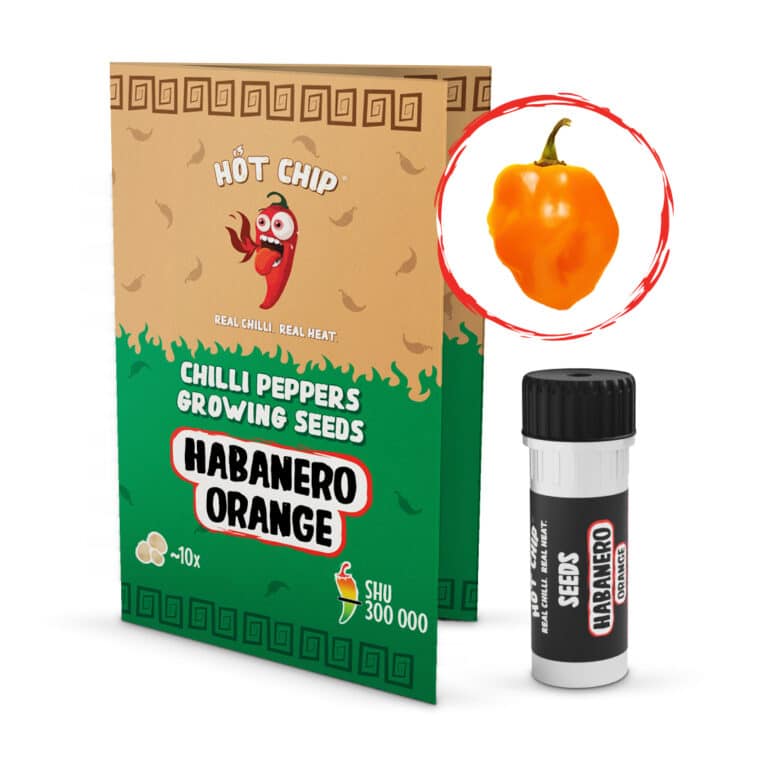 hot-chip-seeds-habanero-orange-1